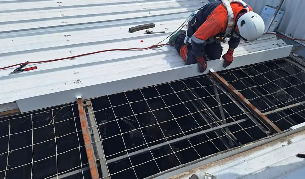 Mantenimiento azotea